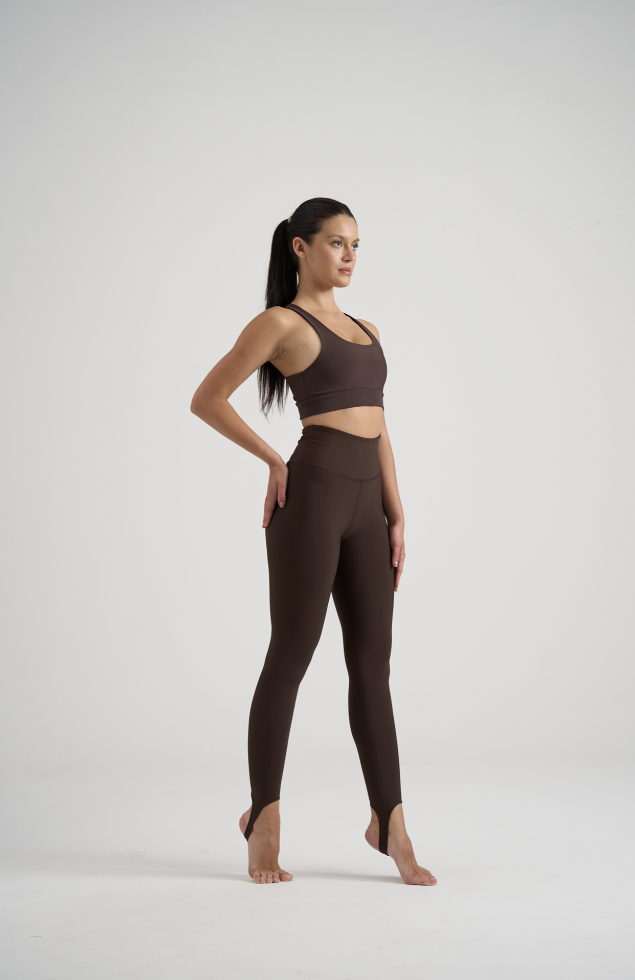569 Stirrup Leggings Brown Color