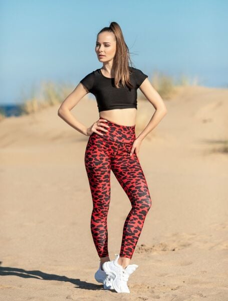 264 Extra High Waist Leggings